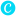Canva Icon